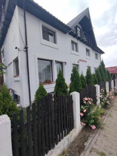 Camere De Inchiriat Edelweiss Dumbrava Roşie Екстериор снимка